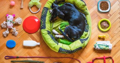 Top 10 Best Dog Food For Allergies in 2021 Best Dog Food For Allergies